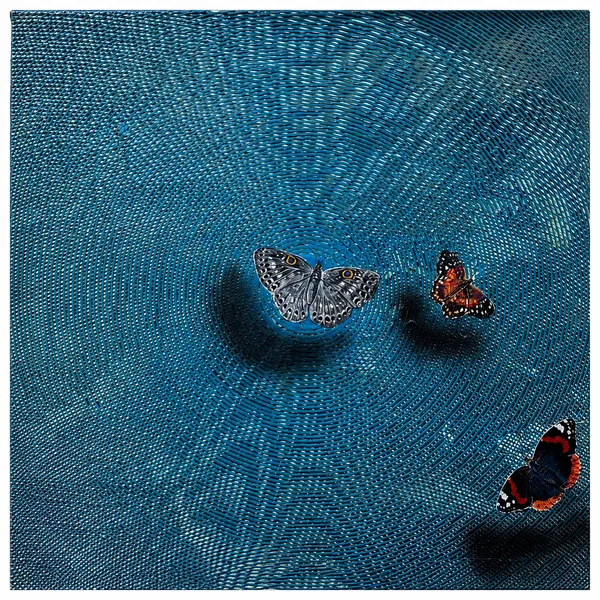 Butterflies on Rippled Waters