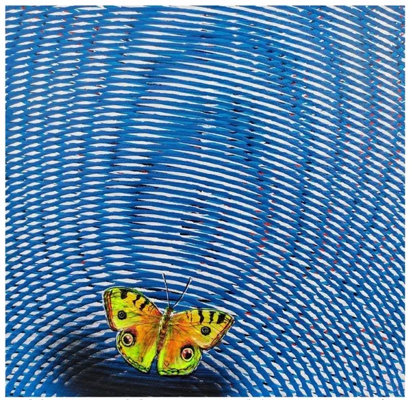 Butterfly Dreams on Rippled Waters