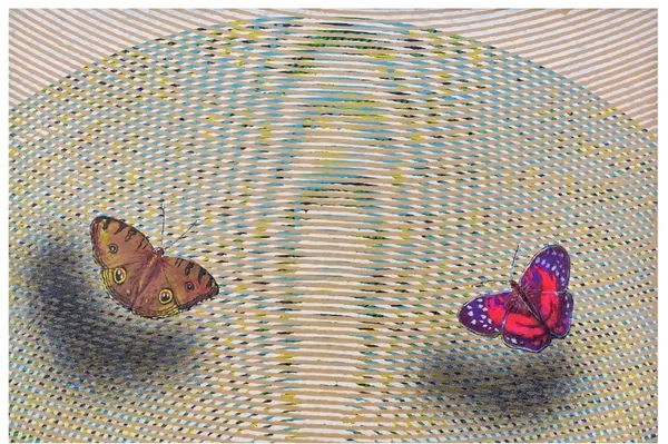 Butterflies in Motion: Optical Illusion Study