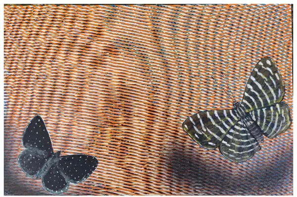 Winged Whispers on Woven Canvas