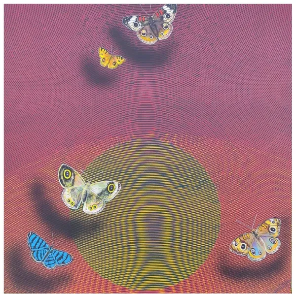 Butterflies in Rippled Light: Concentric Dreams