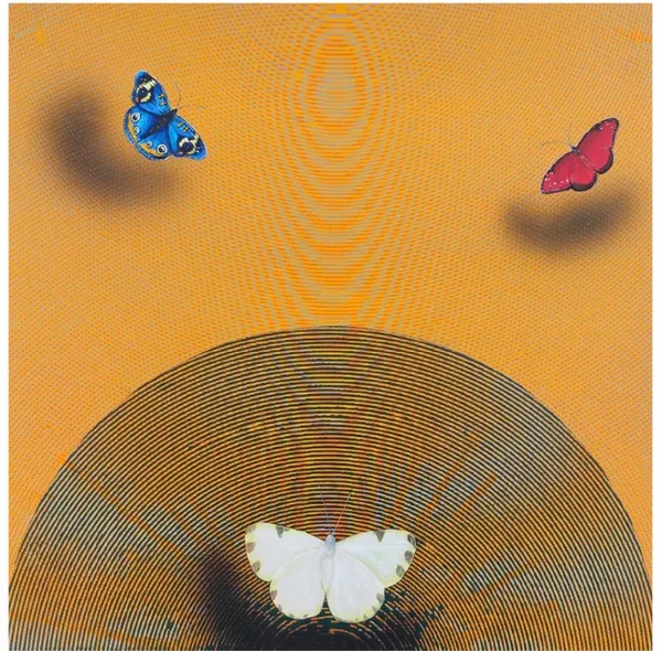Butterflies in Golden Geometry