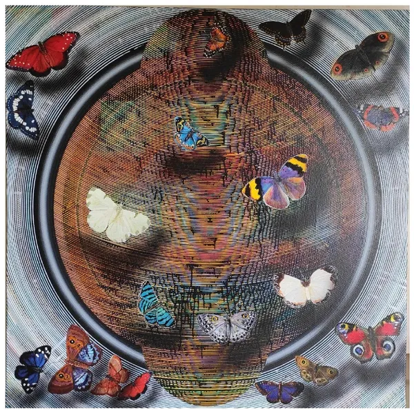 Butterfly Cosmos: Circular Symphony