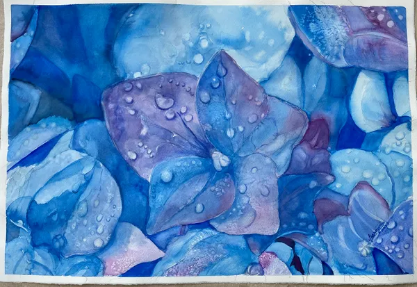 Raindrop Petals: A Watercolor Dance
