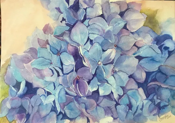 Ethereal Hydrangea Reverie