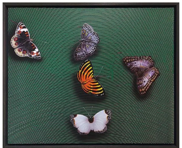 Butterfly Symphony on Emerald