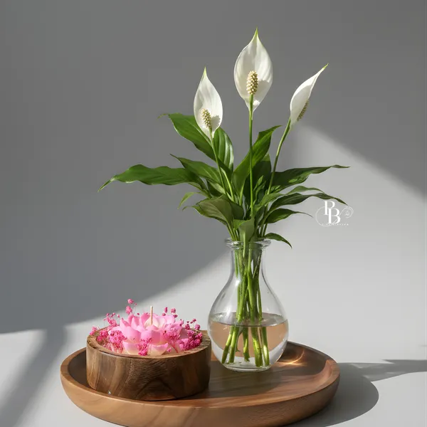 Ethereal Bloom: Peace Lily & Rose Meditation