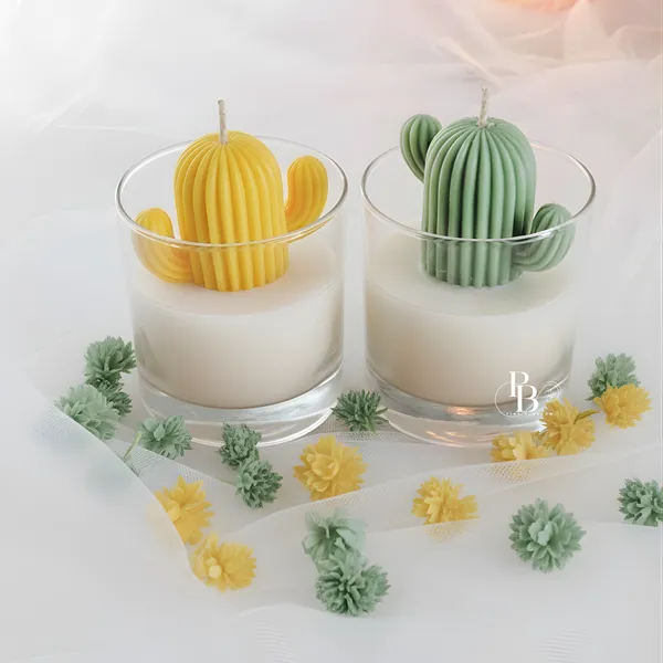 Botanical Cactus Candle Duo – Desert Dreams