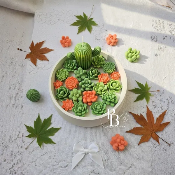 Succulent Garden Sanctuary: Wax Flower Bowl