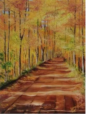 Autumn's Golden Path: A Forest Journey