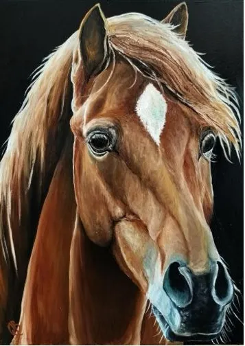 Noble Gaze: Portrait of Serenity