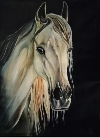 Ethereal Grace: Portrait of a Majestic Horse