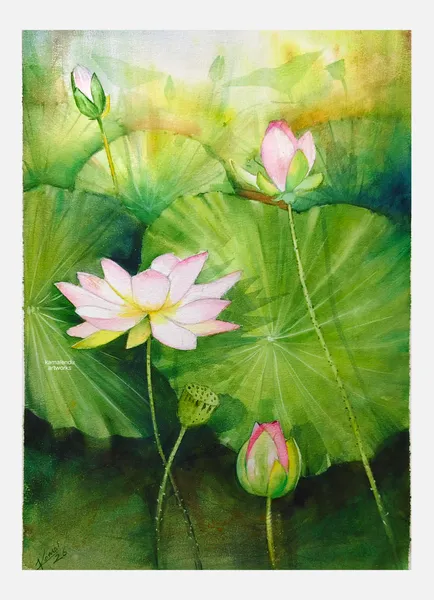 Pink Lotus Reverie Among Emerald Leaves