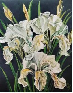 White Iris Whispers: Botanical Study in Gold