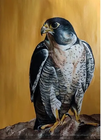 Peregrine's Gaze: Oil Portrait of a Falcon