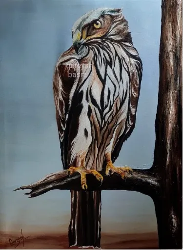 Solitary Sentinel: Eagle in Contemplation