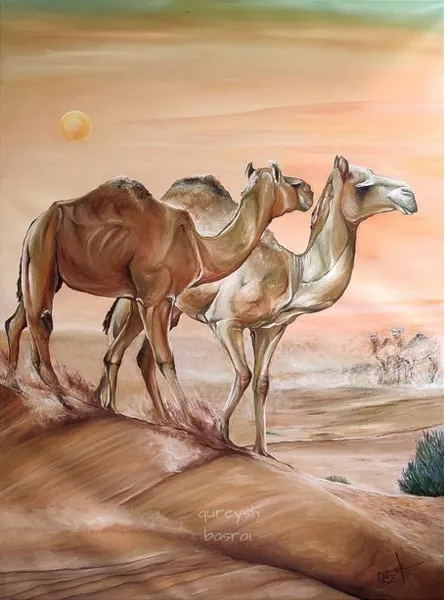 Desert Sentinels: Camels at Golden Hour