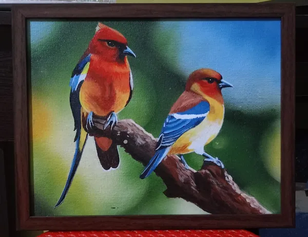 Crimson Wings: A Duet of Tropical Splendor